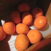 ヒメ日記 2026/04/18 17:08 投稿 みのり　男を狂わせる黒髪美女 今ドキ マットMAX