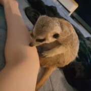 ヒメ日記 2026/04/19 12:31 投稿 みのり　男を狂わせる黒髪美女 今ドキ マットMAX