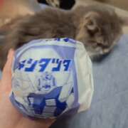 ヒメ日記 2026/04/19 22:52 投稿 みのり　男を狂わせる黒髪美女 今ドキ マットMAX