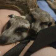 ヒメ日記 2026/04/21 08:24 投稿 みのり　男を狂わせる黒髪美女 今ドキ マットMAX