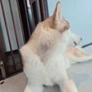 ヒメ日記 2026/04/21 23:32 投稿 みのり　男を狂わせる黒髪美女 今ドキ マットMAX