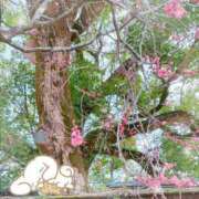 ヒメ日記 2025/03/04 20:06 投稿 ななみ 中洲秘密倶楽部