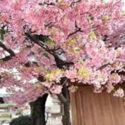 ヒメ日記 2026/03/05 15:55 投稿 ななみ 中洲秘密倶楽部