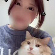 ヒメ日記 2025/03/02 05:24 投稿 あん　歓喜！視線も心も奪う美女 今ドキ マットMAX