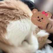 ヒメ日記 2025/03/25 12:07 投稿 あん　歓喜！視線も心も奪う美女 今ドキ マットMAX