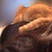 ヒメ日記 2025/05/06 01:16 投稿 あん　歓喜！視線も心も奪う美女 今ドキ マットMAX