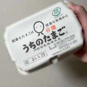 ヒメ日記 2025/05/13 10:10 投稿 あん　歓喜！視線も心も奪う美女 今ドキ マットMAX