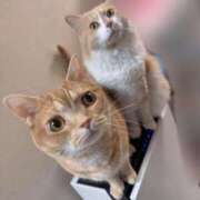 ヒメ日記 2025/09/03 07:25 投稿 あん　歓喜！視線も心も奪う美女 今ドキ マットMAX