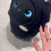 ヒメ日記 2025/10/08 20:59 投稿 あん 歓喜!視線も心も奪う美女 今ドキ マットMAX