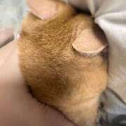 ヒメ日記 2025/10/16 18:23 投稿 あん　歓喜！視線も心も奪う美女 今ドキ マットMAX