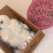 ヒメ日記 2025/10/18 01:09 投稿 あん　歓喜！視線も心も奪う美女 今ドキ マットMAX