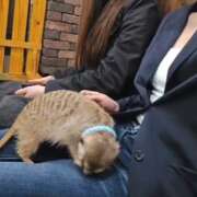 ヒメ日記 2025/10/20 14:16 投稿 あん 歓喜!視線も心も奪う美女 今ドキ マットMAX