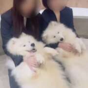 ヒメ日記 2025/10/26 12:42 投稿 あん　歓喜！視線も心も奪う美女 今ドキ マットMAX