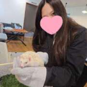 ヒメ日記 2025/10/27 14:36 投稿 あん　歓喜！視線も心も奪う美女 今ドキ マットMAX