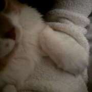 ヒメ日記 2025/11/02 17:10 投稿 あん　歓喜！視線も心も奪う美女 今ドキ マットMAX