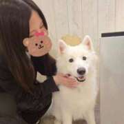 ヒメ日記 2025/11/05 12:08 投稿 あん　歓喜！視線も心も奪う美女 今ドキ マットMAX