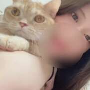 ヒメ日記 2025/11/12 20:21 投稿 あん　歓喜！視線も心も奪う美女 今ドキ マットMAX