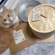 ヒメ日記 2025/11/17 21:59 投稿 あん　歓喜！視線も心も奪う美女 今ドキ マットMAX