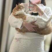 ヒメ日記 2025/11/30 16:23 投稿 あん　歓喜！視線も心も奪う美女 今ドキ マットMAX