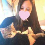 ヒメ日記 2025/12/12 23:01 投稿 あん　歓喜！視線も心も奪う美女 今ドキ マットMAX