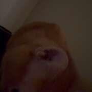 ヒメ日記 2025/12/26 10:15 投稿 あん　歓喜！視線も心も奪う美女 今ドキ マットMAX