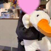 ヒメ日記 2026/01/04 23:35 投稿 あん　歓喜！視線も心も奪う美女 今ドキ マットMAX