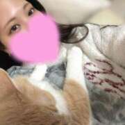 ヒメ日記 2026/01/15 23:49 投稿 あん　歓喜！視線も心も奪う美女 今ドキ マットMAX