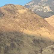 ヒメ日記 2026/01/29 20:07 投稿 あん　歓喜！視線も心も奪う美女 今ドキ マットMAX