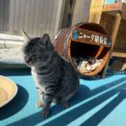 ヒメ日記 2026/02/06 20:42 投稿 あん　歓喜！視線も心も奪う美女 今ドキ マットMAX