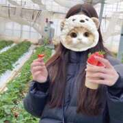 ヒメ日記 2026/02/16 12:03 投稿 あん　歓喜！視線も心も奪う美女 今ドキ マットMAX