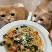 ヒメ日記 2026/03/06 19:26 投稿 あん　歓喜！視線も心も奪う美女 今ドキ マットMAX