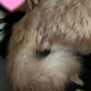 ヒメ日記 2026/03/18 18:45 投稿 あん　歓喜！視線も心も奪う美女 今ドキ マットMAX