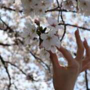 ヒメ日記 2026/04/02 20:43 投稿 あん　歓喜！視線も心も奪う美女 今ドキ マットMAX