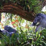 ヒメ日記 2026/04/05 12:11 投稿 あん　歓喜！視線も心も奪う美女 今ドキ マットMAX