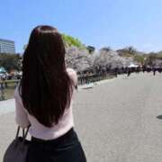 ヒメ日記 2026/04/05 14:13 投稿 あん　歓喜！視線も心も奪う美女 今ドキ マットMAX