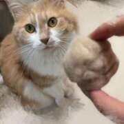 ヒメ日記 2026/04/08 18:37 投稿 あん　歓喜！視線も心も奪う美女 今ドキ マットMAX