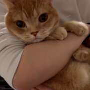 ヒメ日記 2026/04/09 14:10 投稿 あん　歓喜！視線も心も奪う美女 今ドキ マットMAX