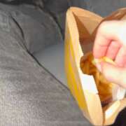 ヒメ日記 2026/04/10 12:16 投稿 あん　歓喜！視線も心も奪う美女 今ドキ マットMAX