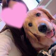 ヒメ日記 2026/04/10 15:57 投稿 あん　歓喜！視線も心も奪う美女 今ドキ マットMAX