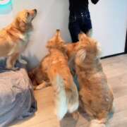 ヒメ日記 2026/04/10 17:49 投稿 あん　歓喜！視線も心も奪う美女 今ドキ マットMAX