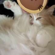 ヒメ日記 2026/04/11 19:32 投稿 あん　歓喜！視線も心も奪う美女 今ドキ マットMAX