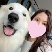 ヒメ日記 2026/04/12 22:17 投稿 あん　歓喜！視線も心も奪う美女 今ドキ マットMAX