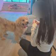 ヒメ日記 2026/04/13 12:19 投稿 あん　歓喜！視線も心も奪う美女 今ドキ マットMAX