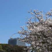 ヒメ日記 2026/04/20 23:50 投稿 あん　歓喜！視線も心も奪う美女 今ドキ マットMAX