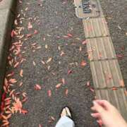 ヒメ日記 2026/06/22 08:11 投稿 あん　歓喜！視線も心も奪う美女 今ドキ マットMAX