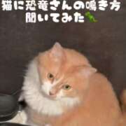 ヒメ日記 2026/06/28 23:14 投稿 あん 歓喜!視線も心も奪う美女 今ドキ マットMAX