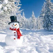 たむ リクエスト予約のお詫び 東大阪人妻援護会