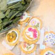 ヒメ日記 2025/04/06 08:24 投稿 若宮 はつみ SUMIRE