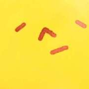 ヒメ日記 2025/04/16 23:01 投稿 若宮 はつみ SUMIRE