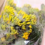 ヒメ日記 2025/04/22 15:30 投稿 若宮 はつみ SUMIRE